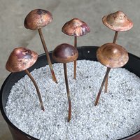 Small mushroom plant decor examples.