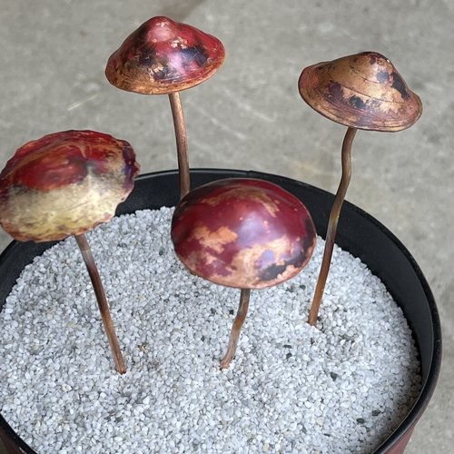 Mushroom plant decor, large heads.