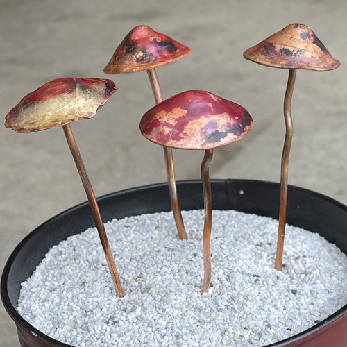 Mushroom plant decor, large heads.