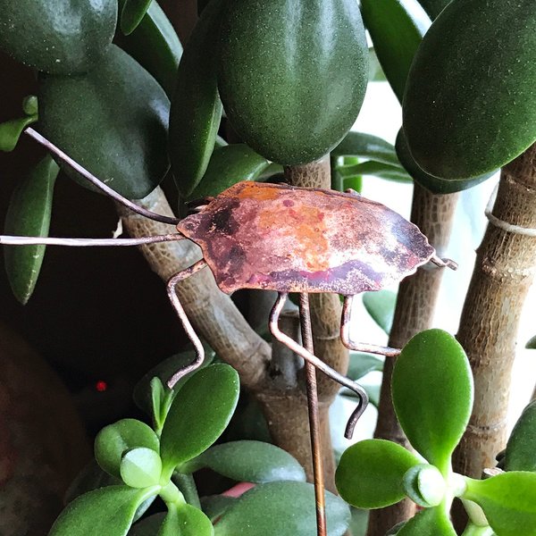 copper stink bug plant decoration